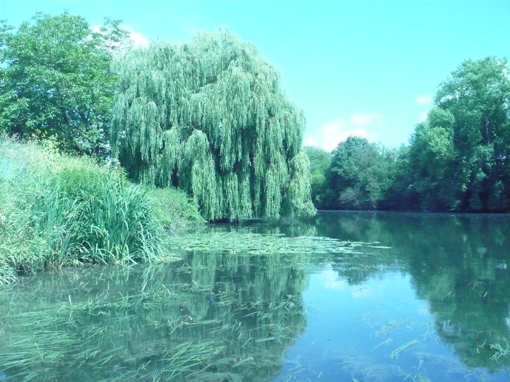 Bed and Breakfast Le Havre De Bennecourt Экстерьер фото